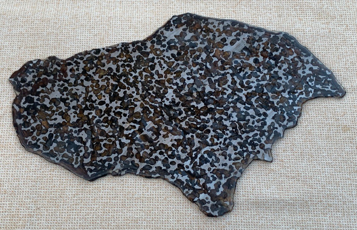 Météorite Pallasite, Sericho Kenya 1464 nombreuses inclusions Olivine,  très gde tranche polie -photo-3