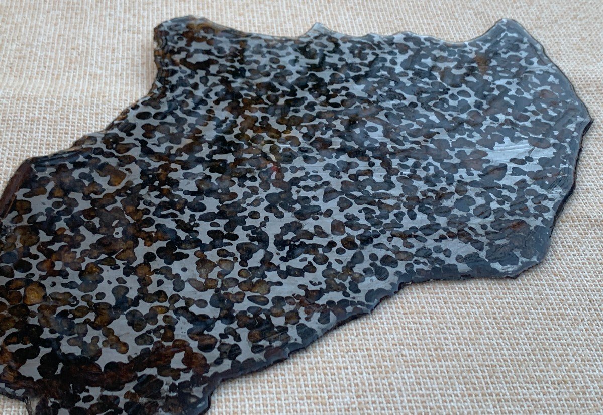 Météorite Pallasite, Sericho Kenya 1464 nombreuses inclusions Olivine,  très gde tranche polie -photo-2