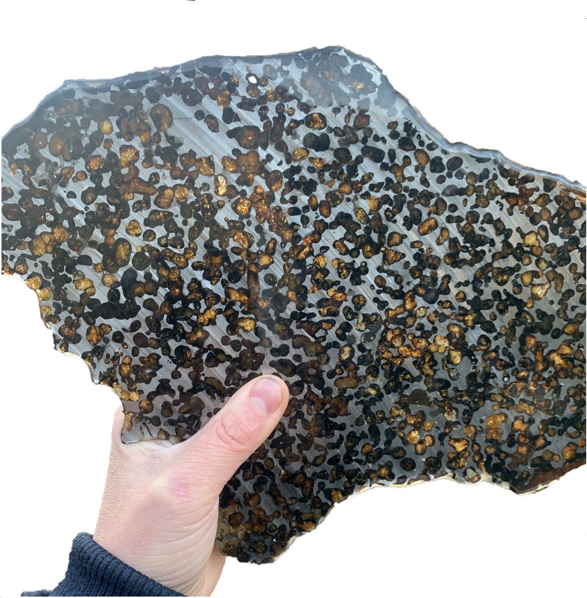 Météorite Pallasite, Sericho Kenya 1464 nombreuses inclusions Olivine,  très gde tranche polie -photo-8