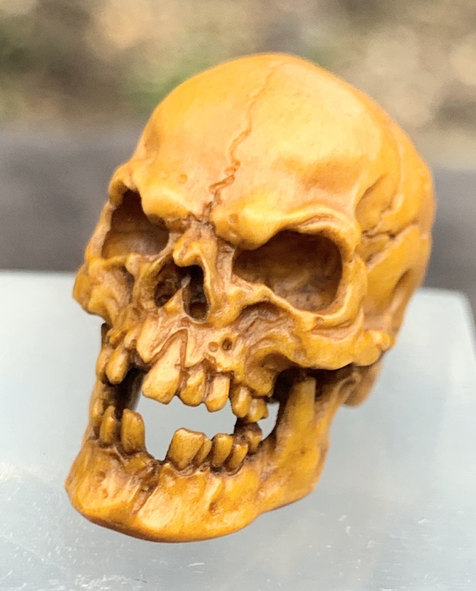 Cabinet Of Curiosities1: Memento Mori / Deer Antlers ?! Carved Skull-photo-2