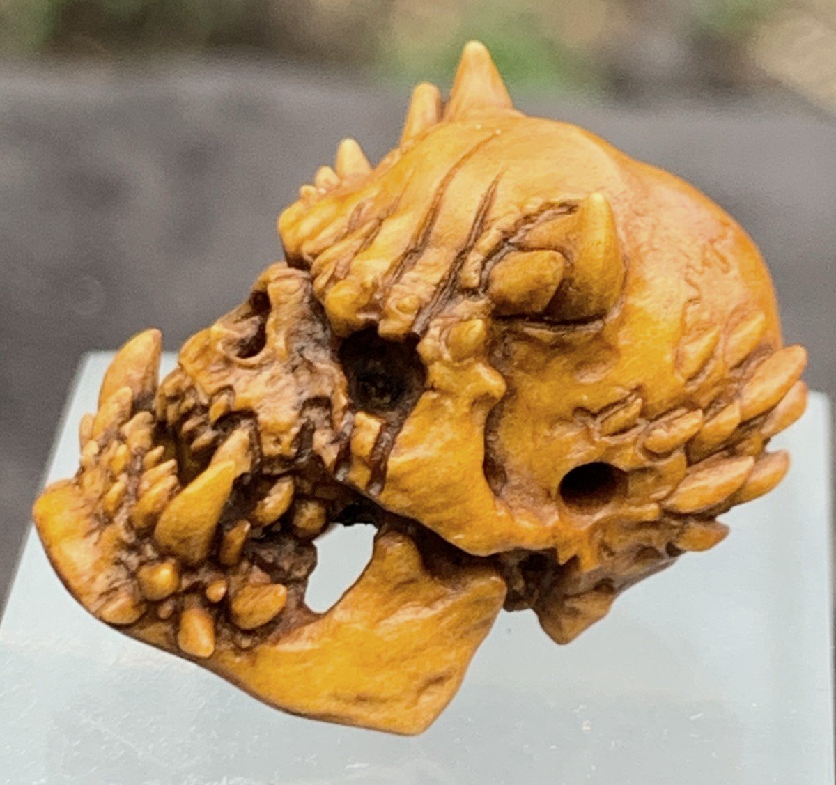 Cabinet de curiosités 2: memento mori/crâne de démon sculpté bois de cerf-photo-3