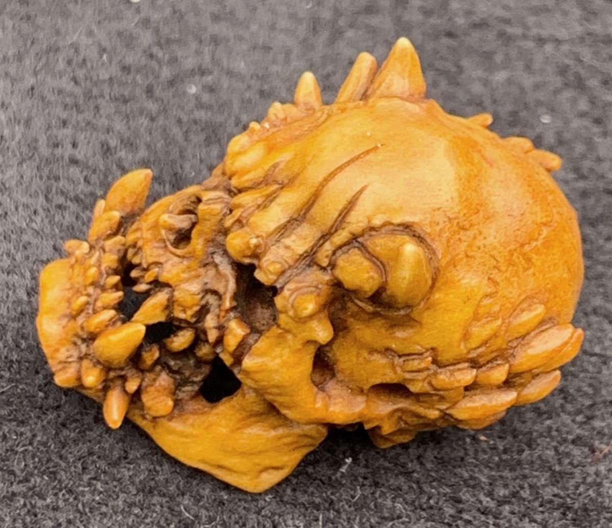 Cabinet de curiosités 2: memento mori/crâne de démon sculpté bois de cerf-photo-2