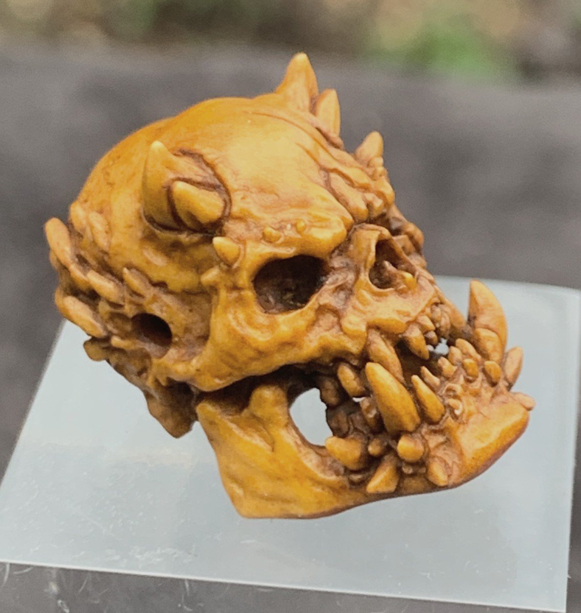 Cabinet de curiosités 2: memento mori/crâne de démon sculpté bois de cerf-photo-5