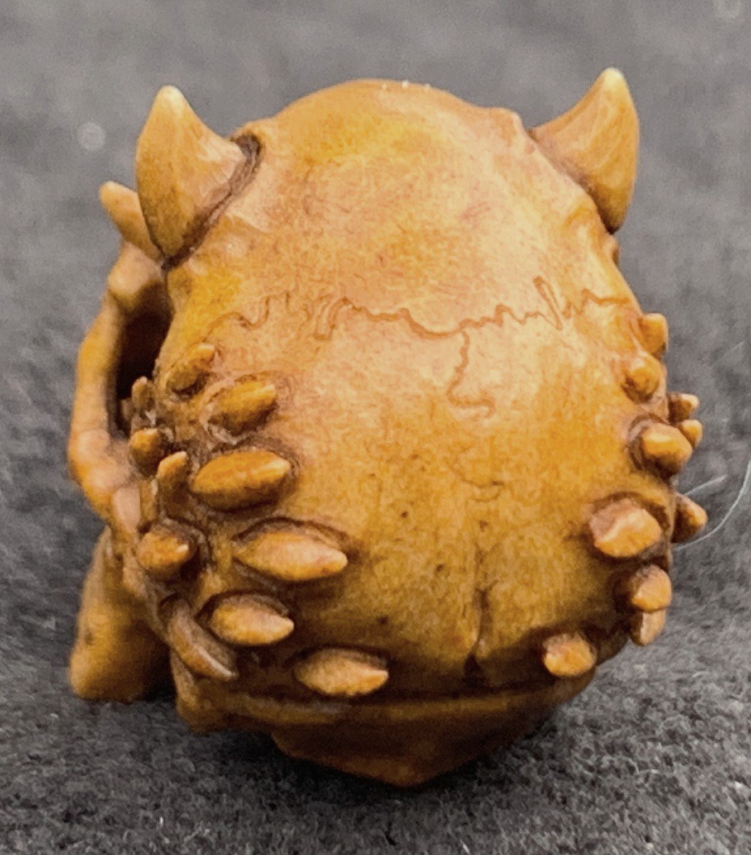 Cabinet de curiosités 2: memento mori/crâne de démon sculpté bois de cerf-photo-6