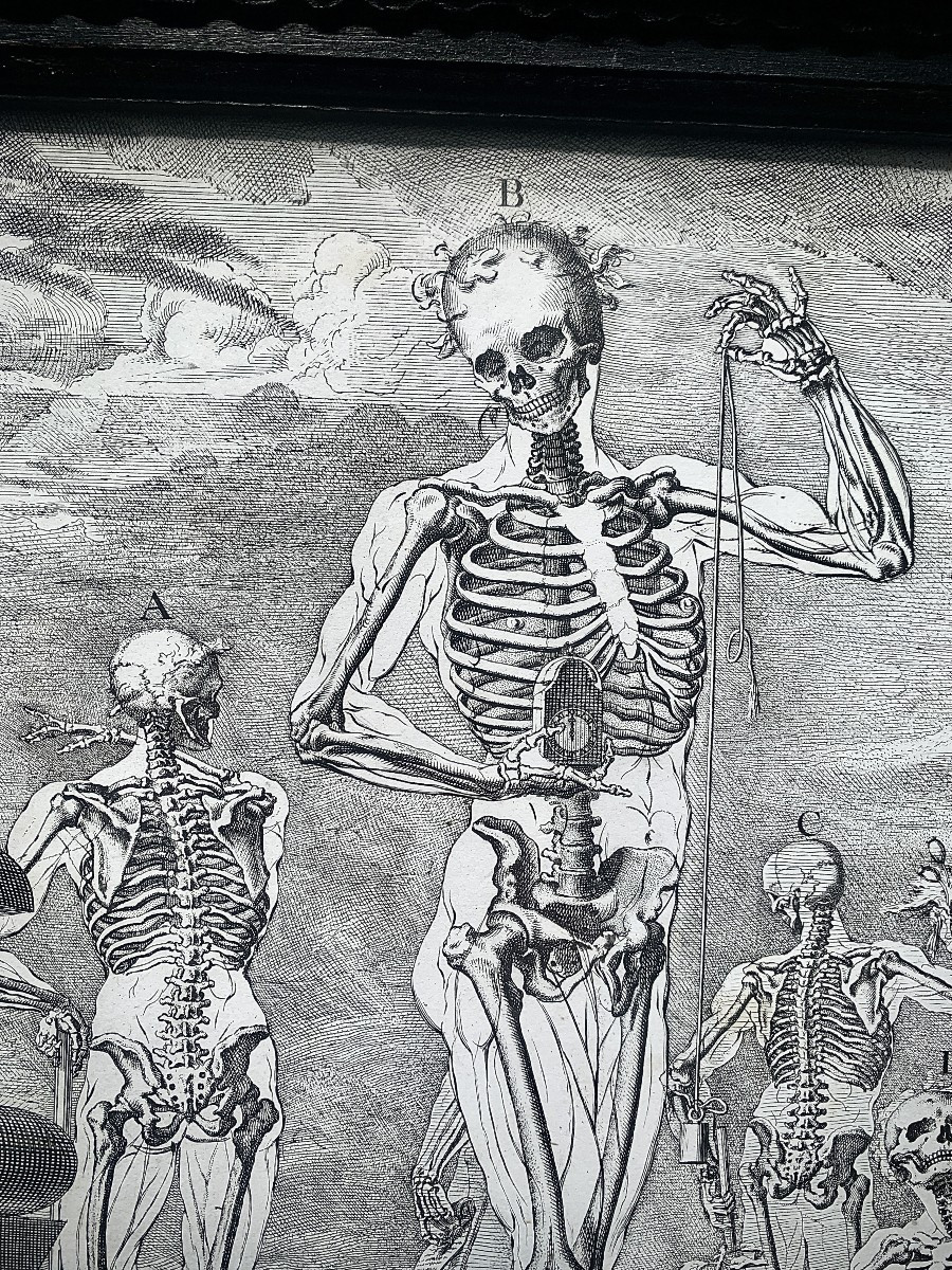 XVIIe s, gde & rare gravure anatomie Crisostomo MARTINEZ, cadre pierres dures-photo-2