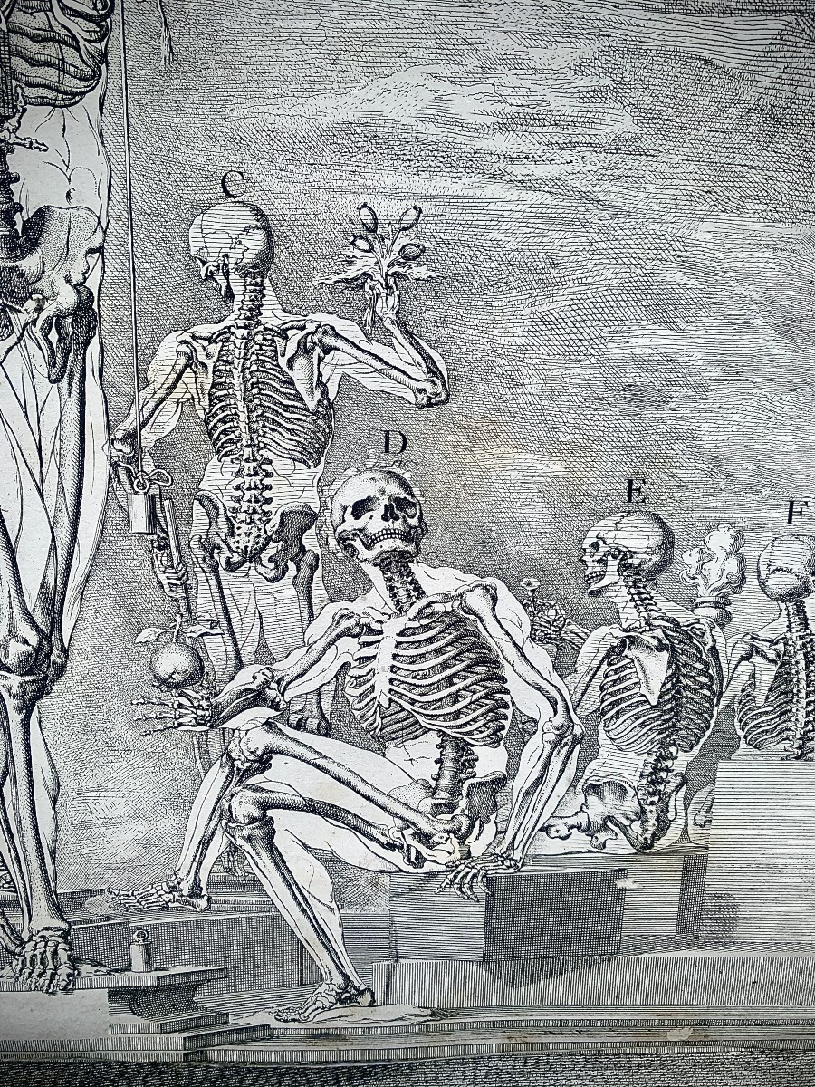 XVIIe s, gde & rare gravure anatomie Crisostomo MARTINEZ, cadre pierres dures-photo-3