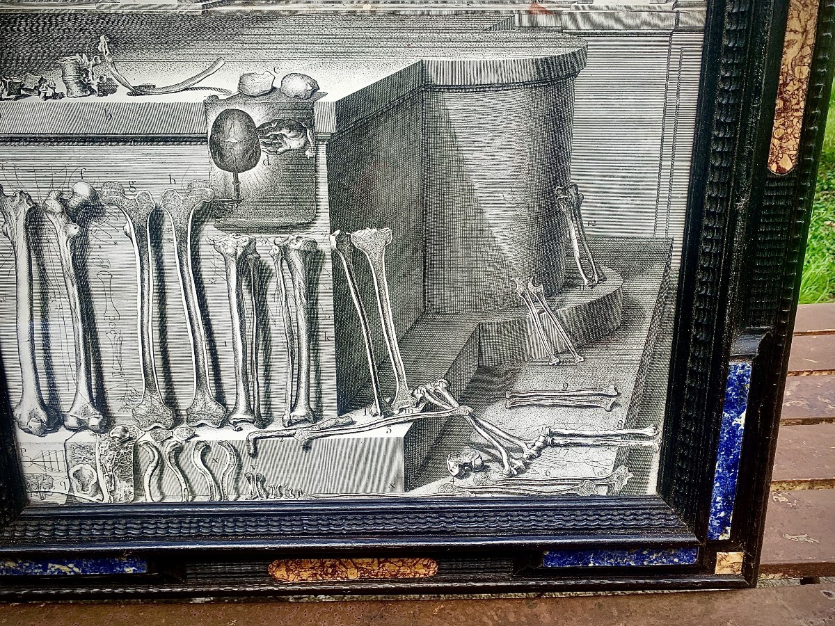 XVIIe s, gde & rare gravure anatomie Crisostomo MARTINEZ, cadre pierres dures-photo-4