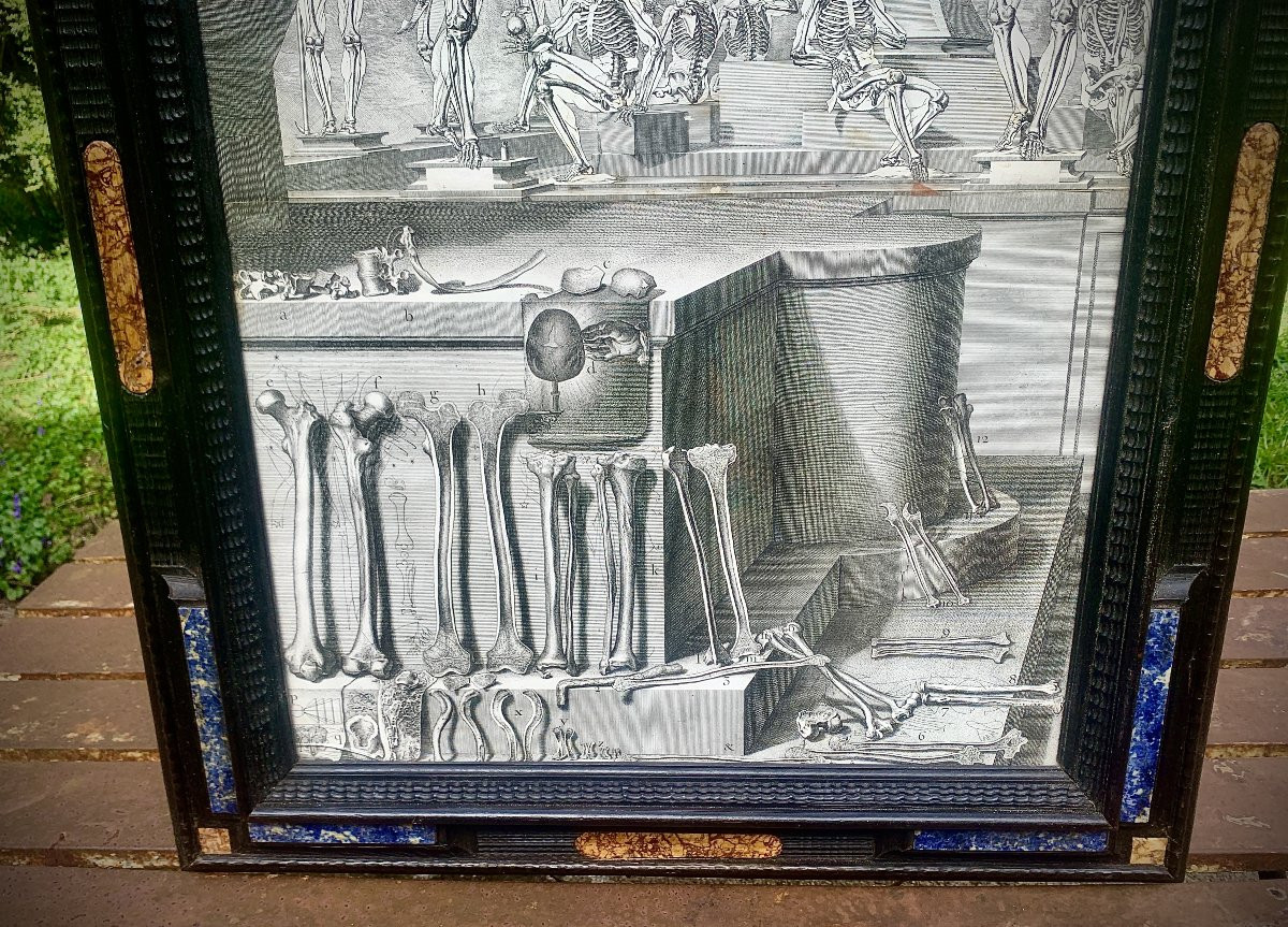 XVIIe s, gde & rare gravure anatomie Crisostomo MARTINEZ, cadre pierres dures-photo-1