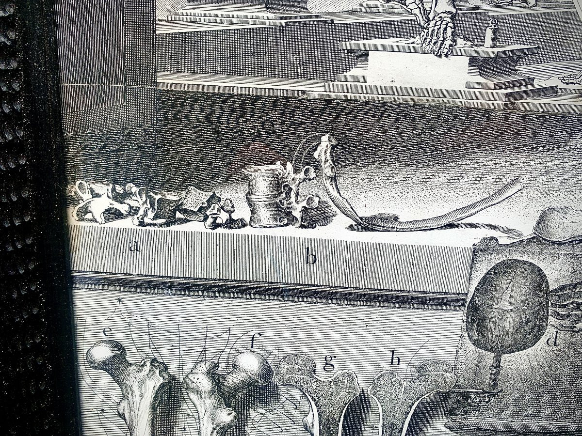 XVIIe s, gde & rare gravure anatomie Crisostomo MARTINEZ, cadre pierres dures-photo-2