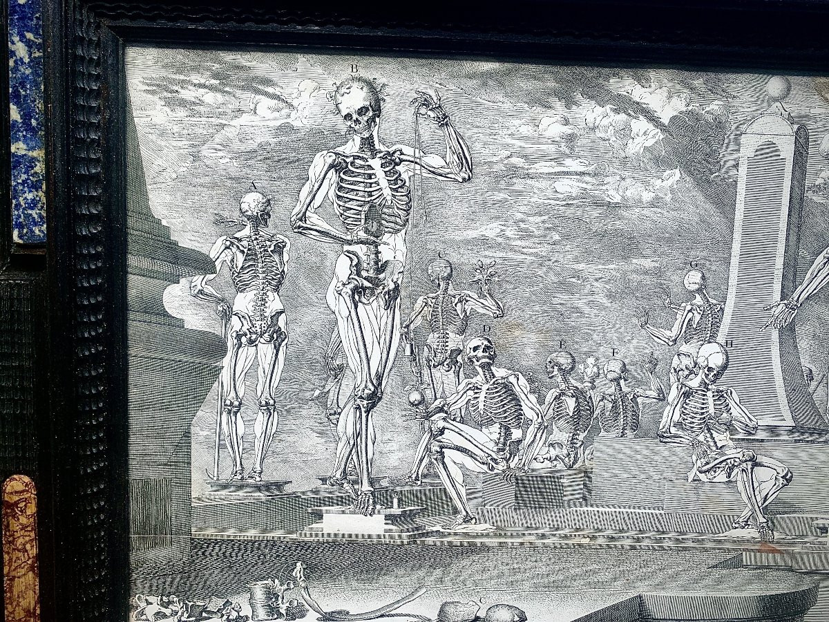 XVIIe s, gde & rare gravure anatomie Crisostomo MARTINEZ, cadre pierres dures-photo-4