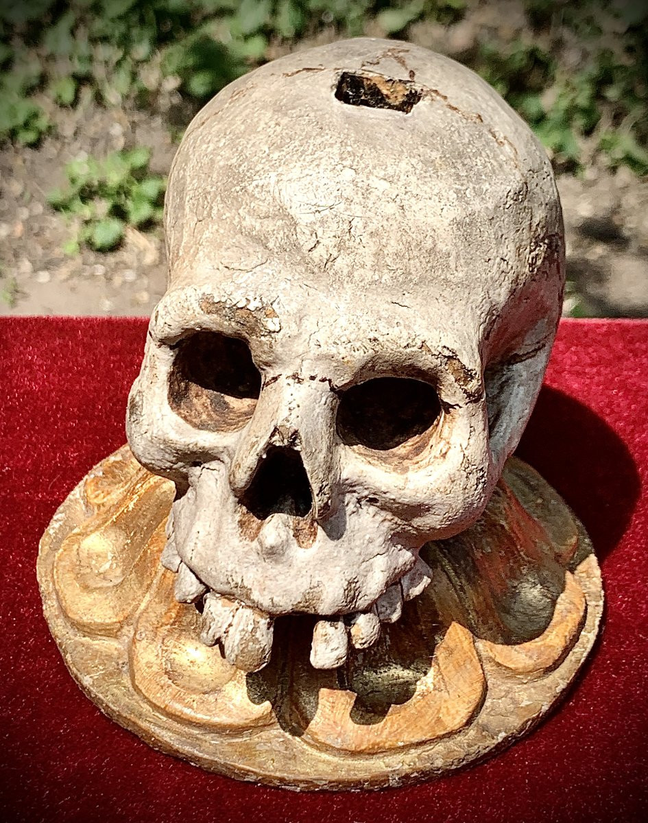 MEMENTO MORI bois sculpté  polychrome & doré, Italie XVIIe s-photo-5