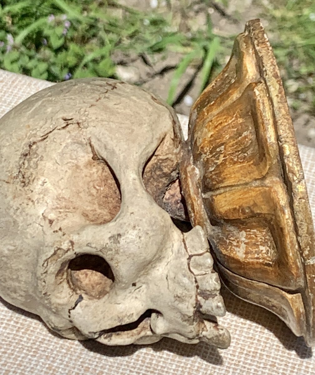 MEMENTO MORI bois sculpté  polychrome & doré, Italie XVIIe s-photo-7