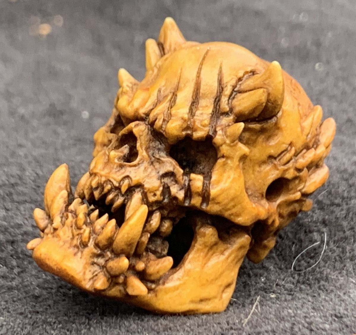 Cabinet de curiosités: memento mori/crâne de démon, bois de cerf sculpté -photo-3