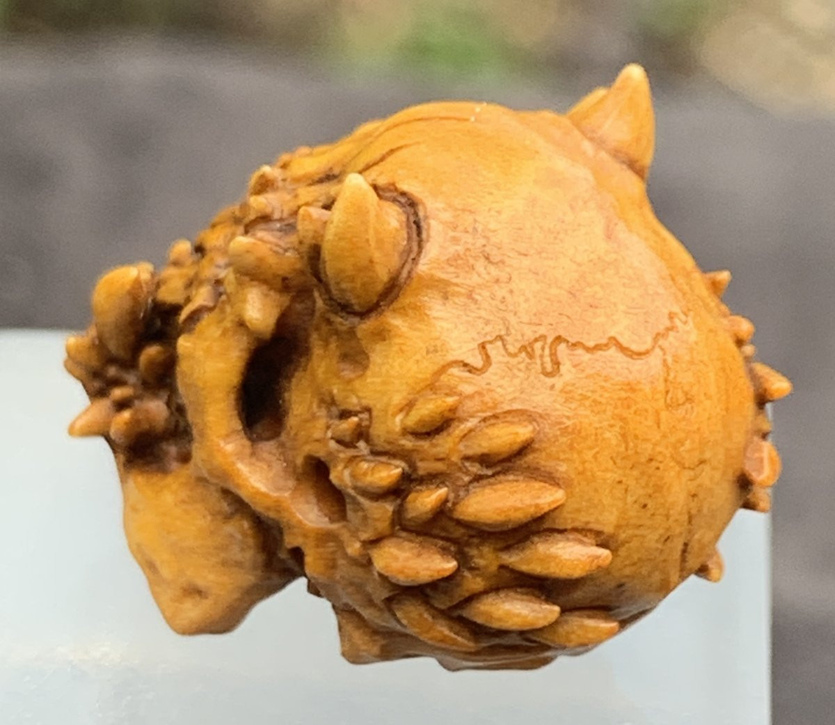 Cabinet de curiosités: memento mori/crâne de démon, bois de cerf sculpté -photo-1