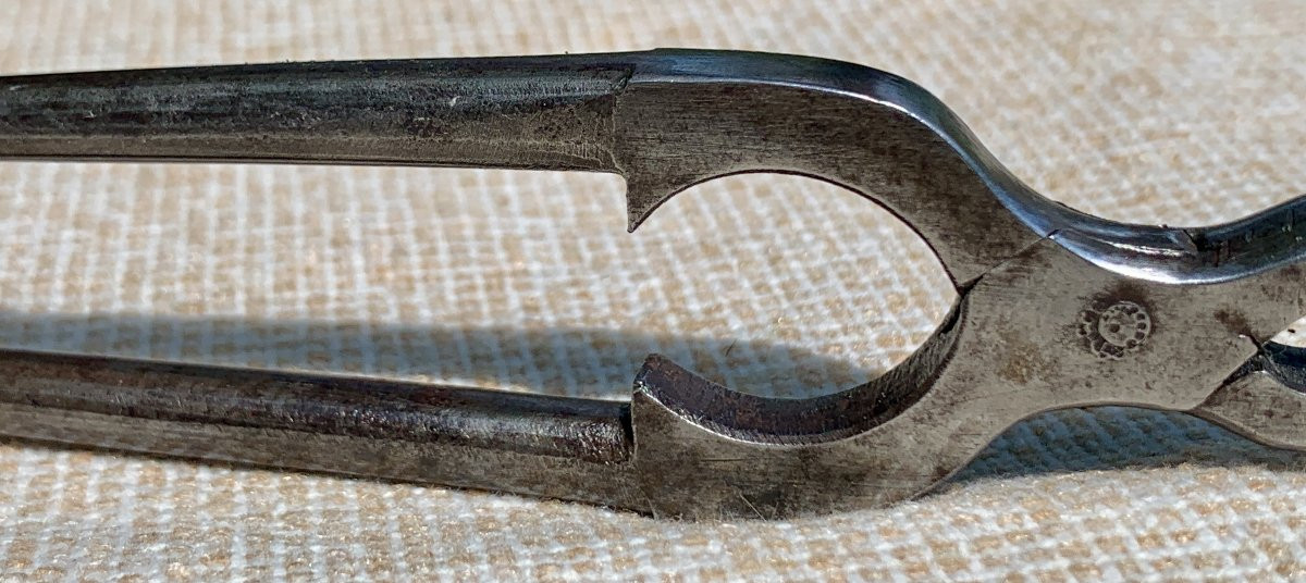 Casse noisettes ou pignes en fer forgé et ciselé, tête de loup, XIXe s-photo-4