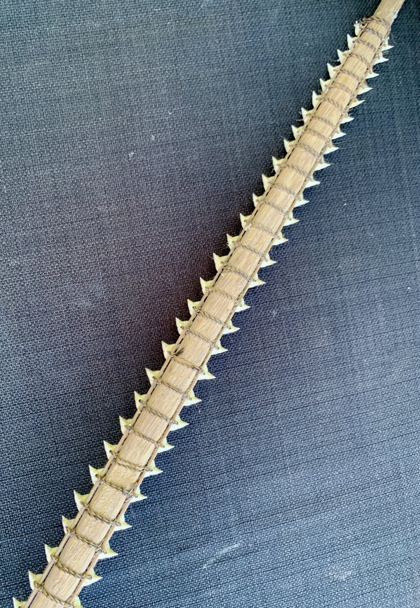 Ethnology: Kiribati Sword With Shark Teeth Flying Fox Fur, Gilbert Islands South Pacific Ocean-photo-3
