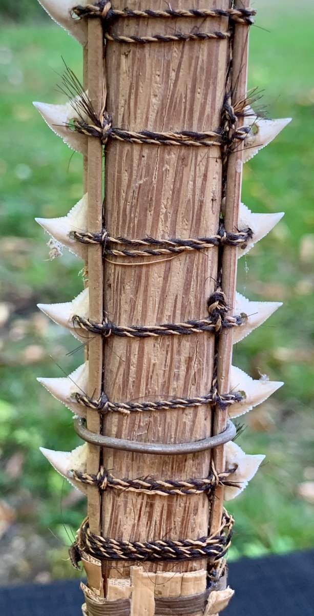 Ethnology: Kiribati Sword With Shark Teeth Flying Fox Fur, Gilbert Islands South Pacific Ocean-photo-1