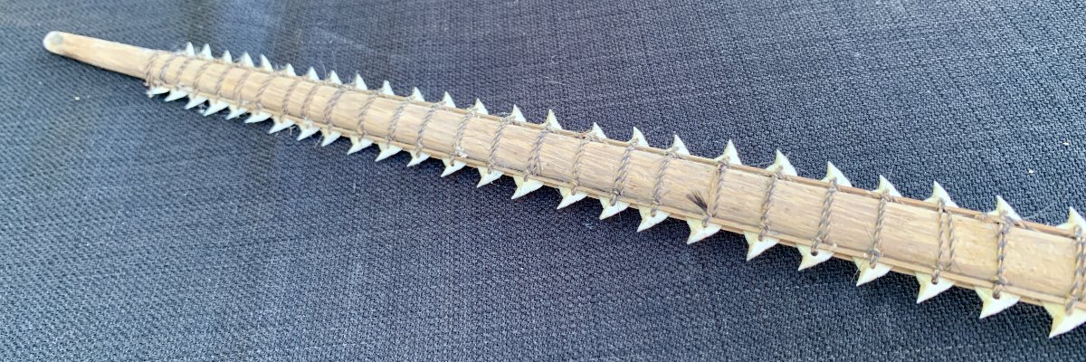 Ethnology: Kiribati Sword With Shark Teeth Flying Fox Fur, Gilbert Islands South Pacific Ocean-photo-3