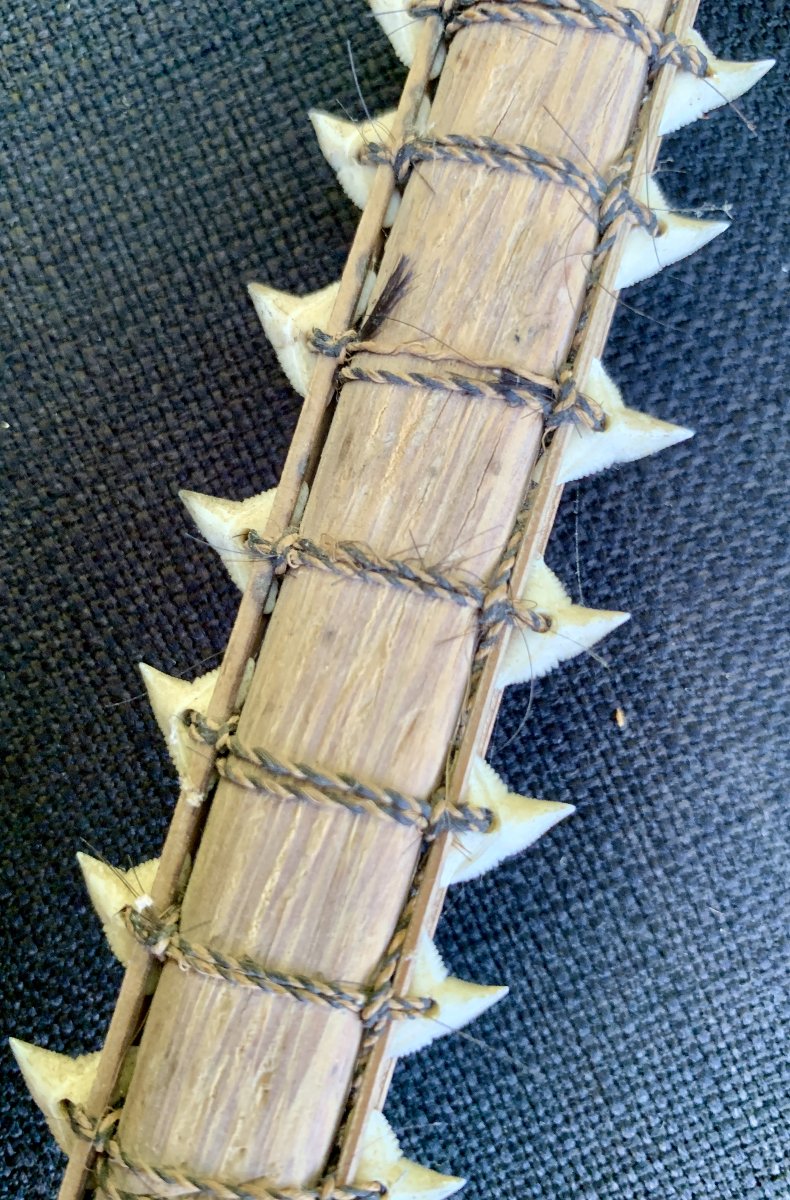 Ethnology: Kiribati Sword With Shark Teeth Flying Fox Fur, Gilbert Islands South Pacific Ocean-photo-6