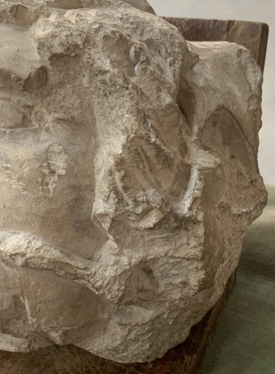 XIVe Tête pierre calcaire fossile sculpté grotesque avec entrave-photo-2