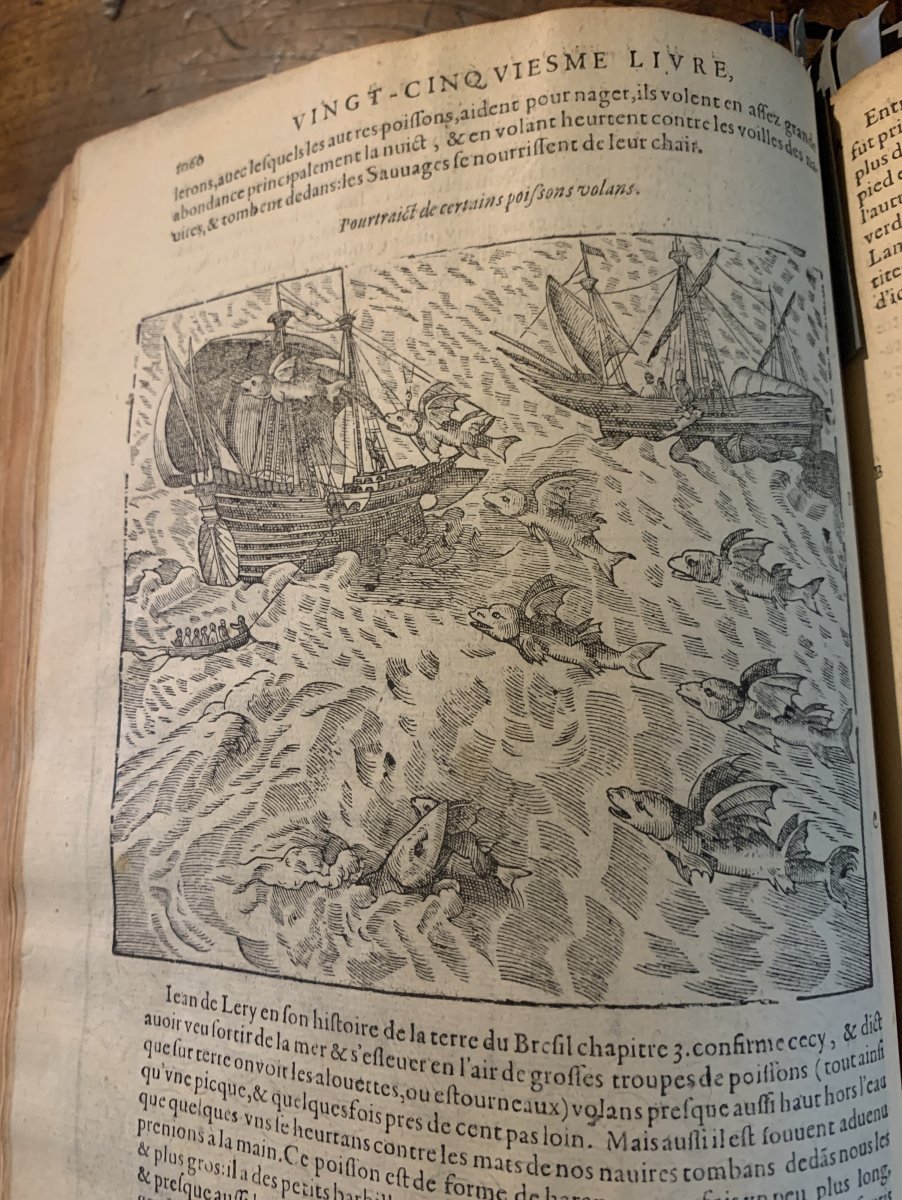 1607 Rare Edition  -photo-3