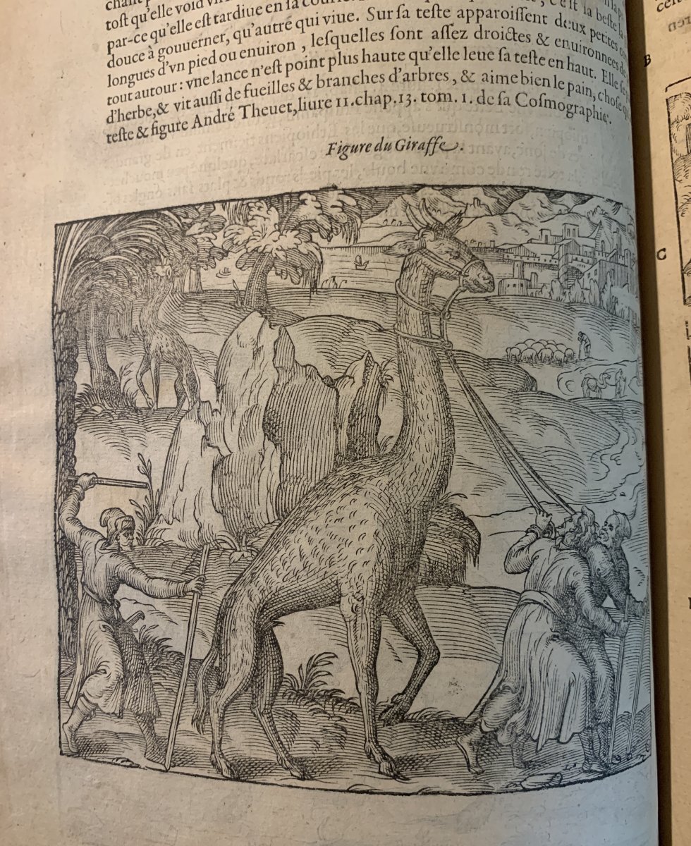 1607 Rare Edition  -photo-4