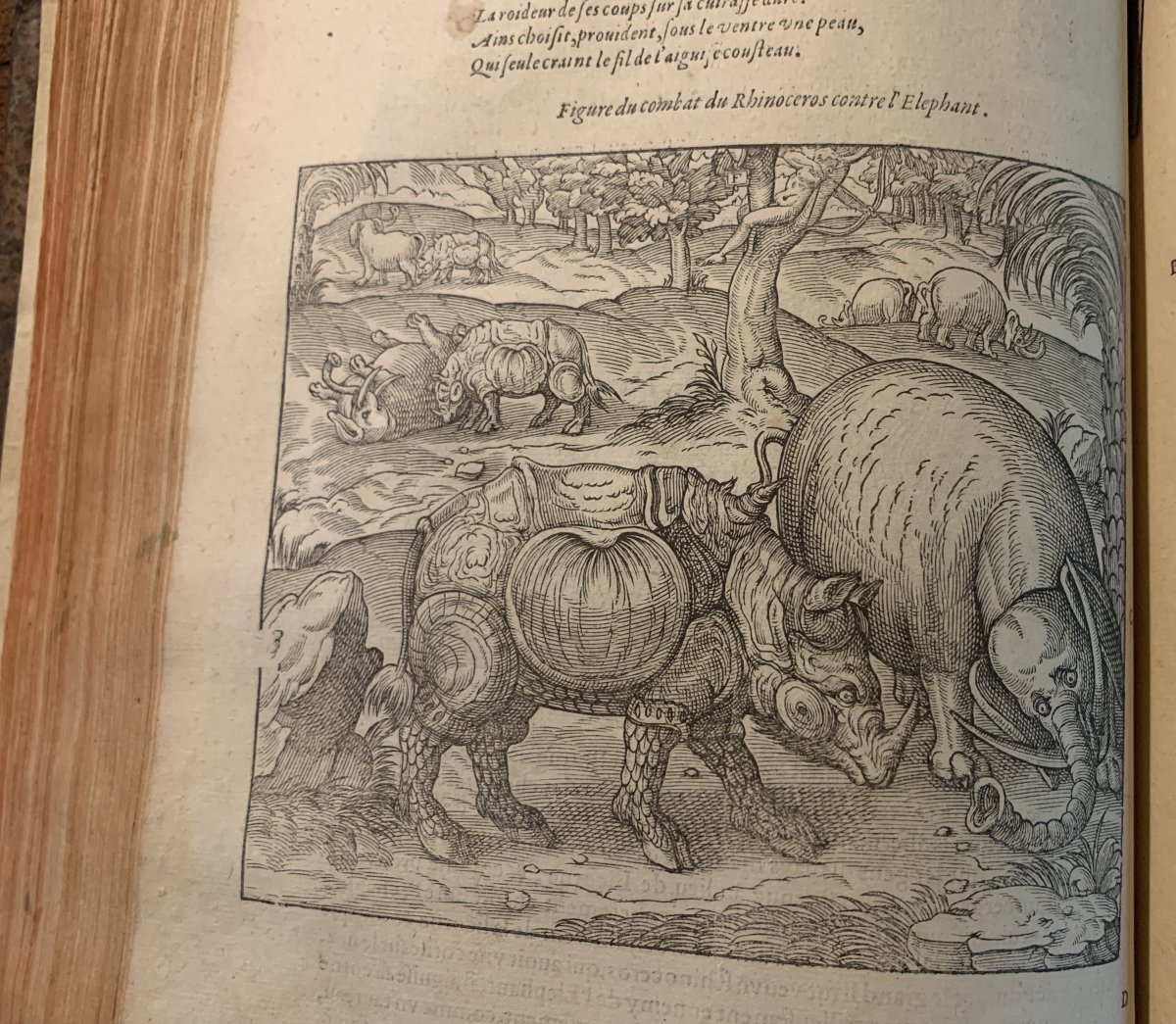 1607 Rare Edition  -photo-6