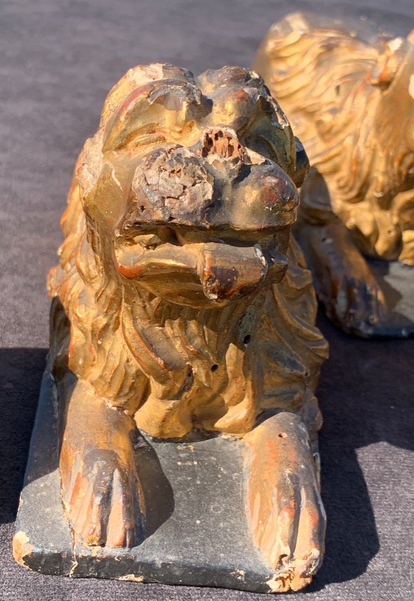 17th Century Set Of 4 Gilded Wood Lions, Cassone Feet-photo-4