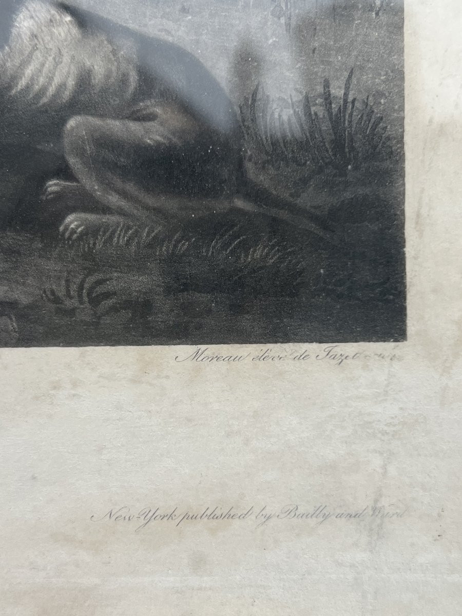 Paire De Gravures Chasse Aux Canards Et Faisans, Philippe Ledieu, Vers 1840  -photo-6