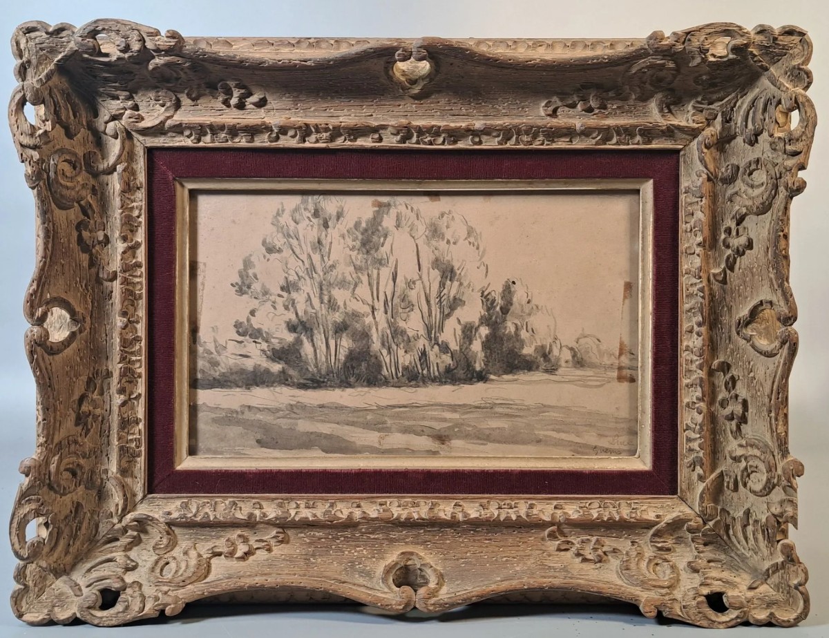 Maximilien Luce (1858-1941) - Landscape Of Trees, Drawing, Signed.