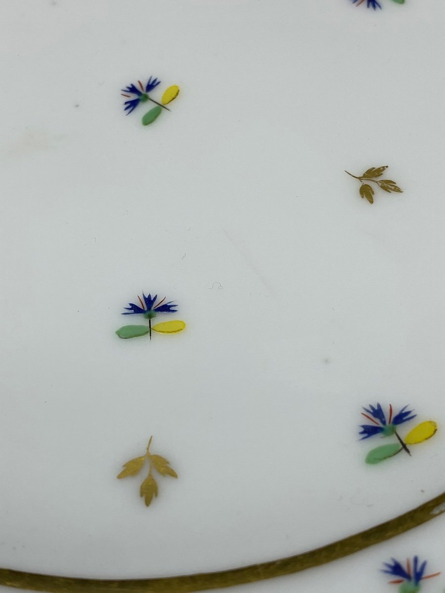 Soft Paste Porcelain Plate XVIIIth Guérard And Dihl-photo-4