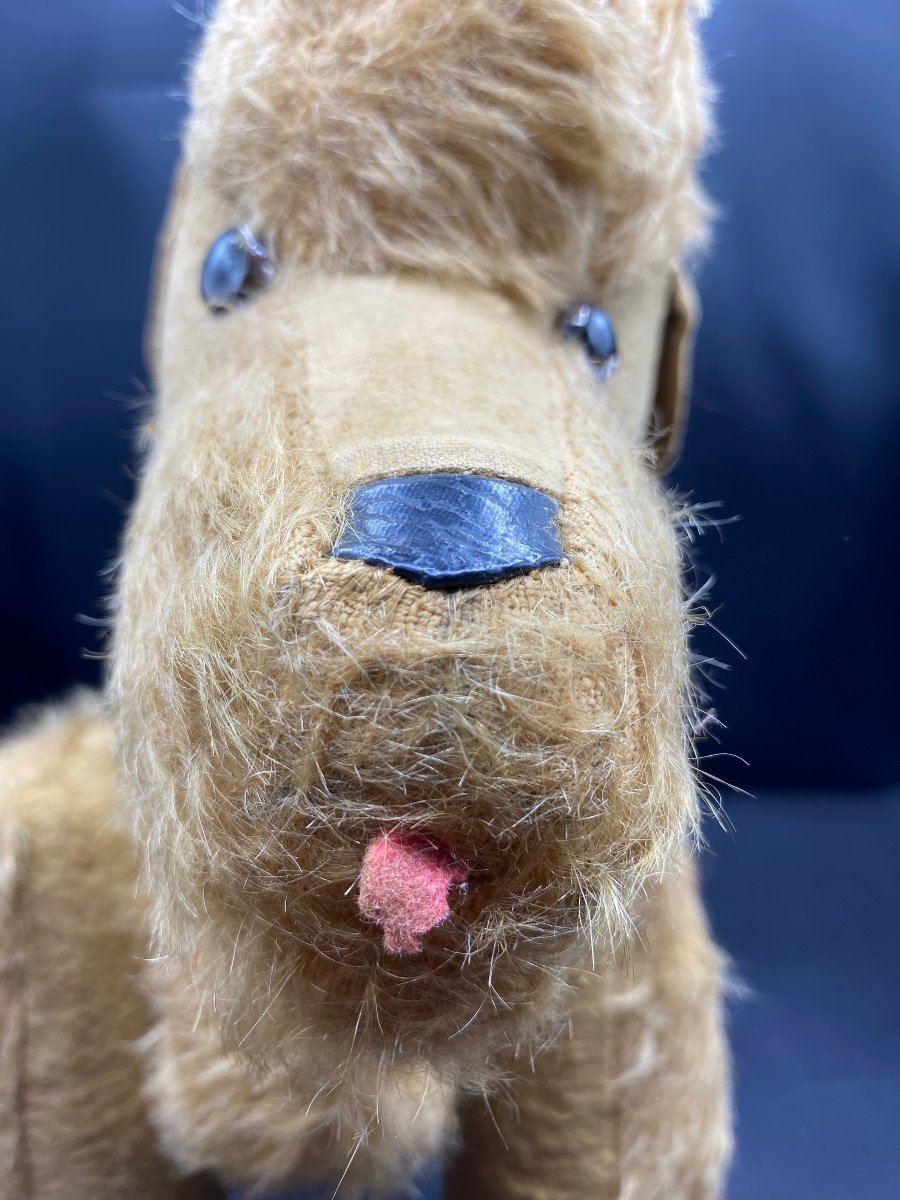Dog Plush From 1960/70 Articulated -photo-4