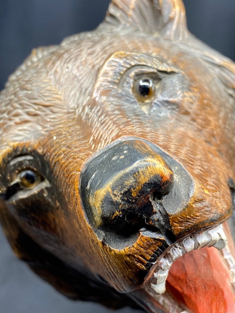 Carved Wooden Bear Black Forest Circa 1900-photo-4