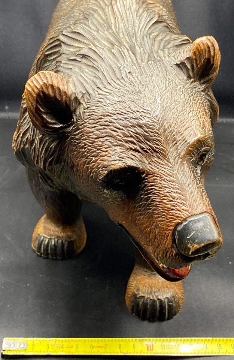 Carved Wooden Bear Black Forest Circa 1900-photo-6