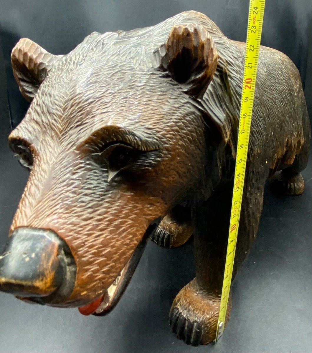 Carved Wooden Bear Black Forest Circa 1900-photo-7