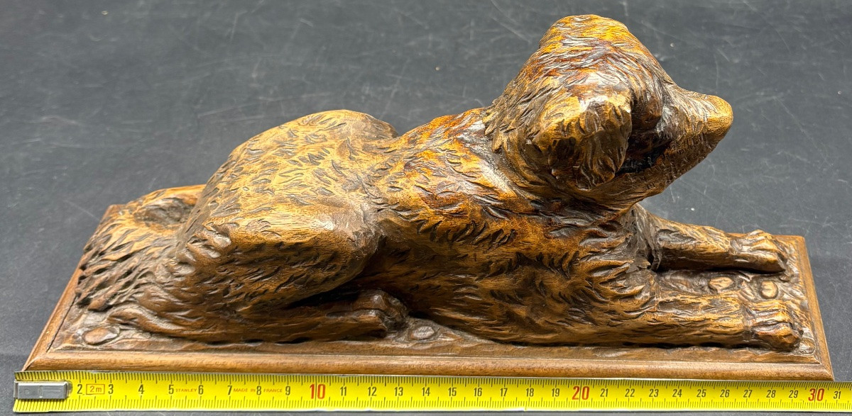 A Saint Bernard In Black Forest Patinated Carved Wood From The 1900s-photo-5