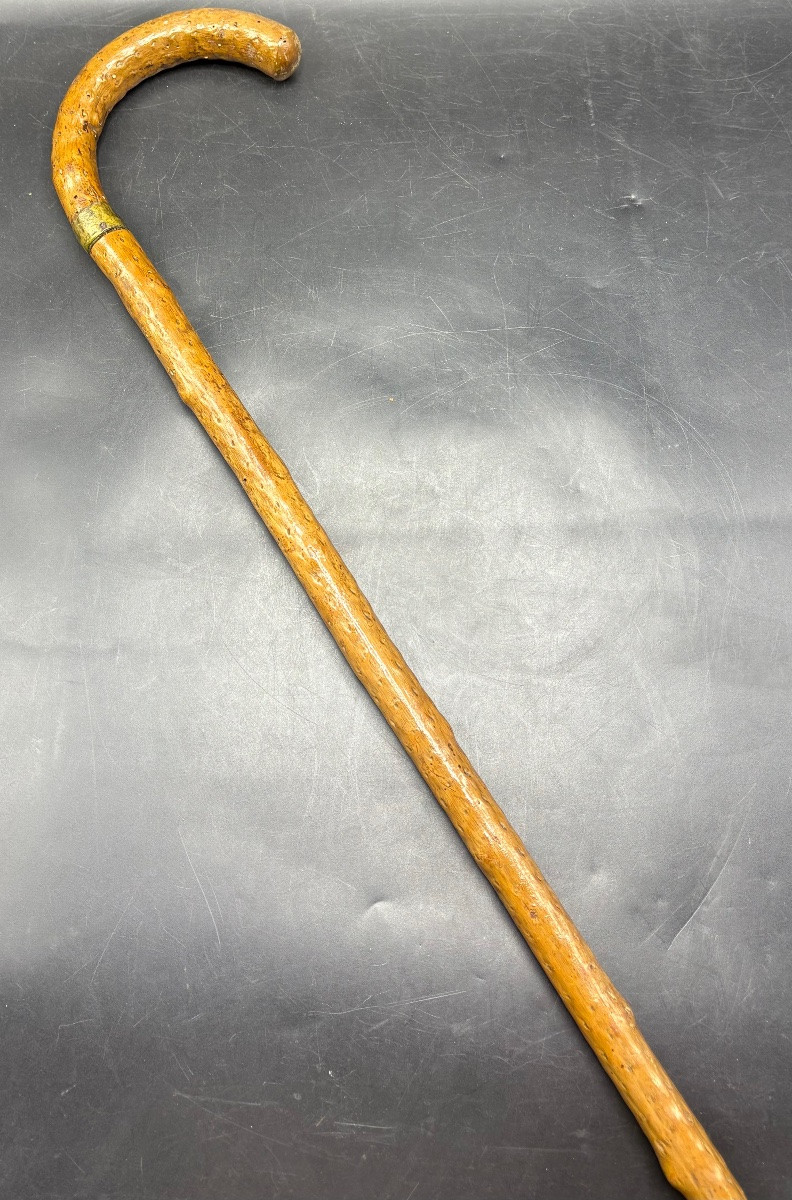 1900s Horse Dealer's Cane In Scarified Wood And Various-photo-4