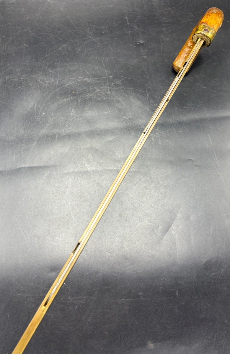 1900s Horse Dealer's Cane In Scarified Wood And Various-photo-1