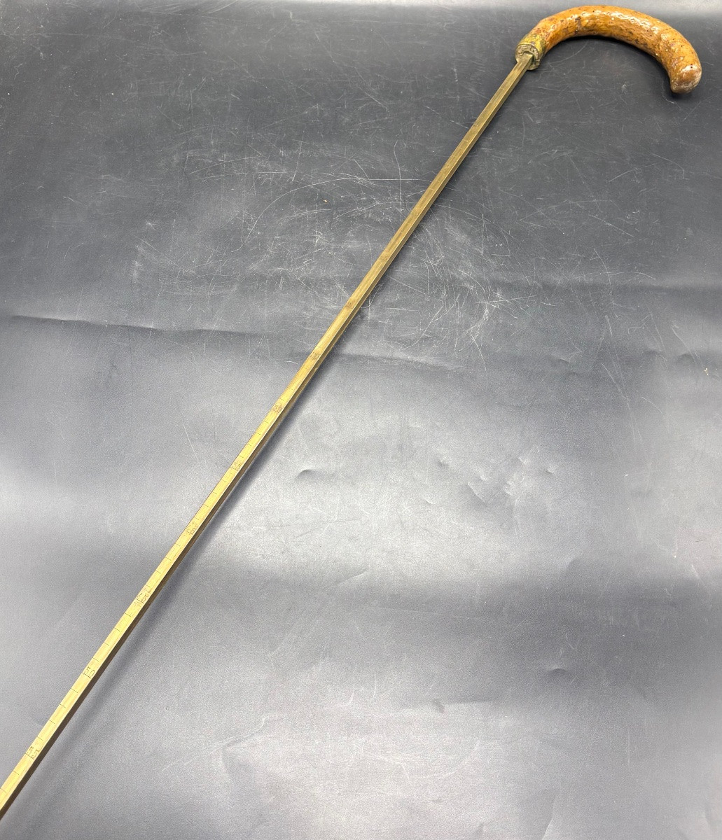 1900s Horse Dealer's Cane In Scarified Wood And Various-photo-3