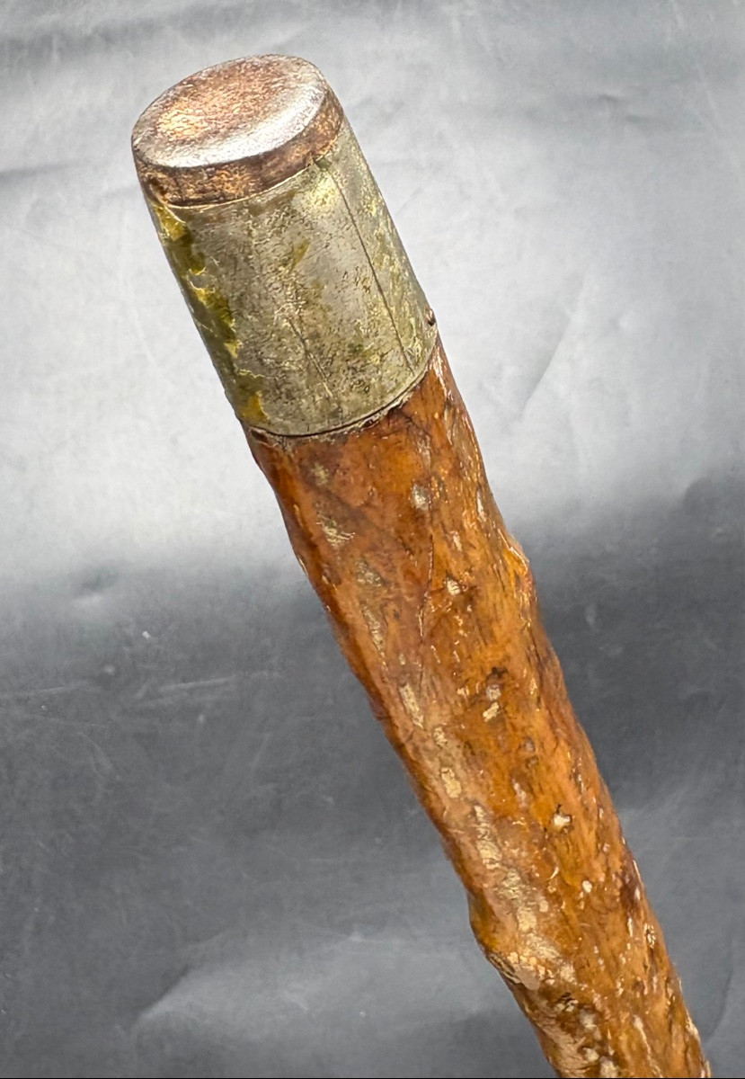 1900s Horse Dealer's Cane In Scarified Wood And Various-photo-5