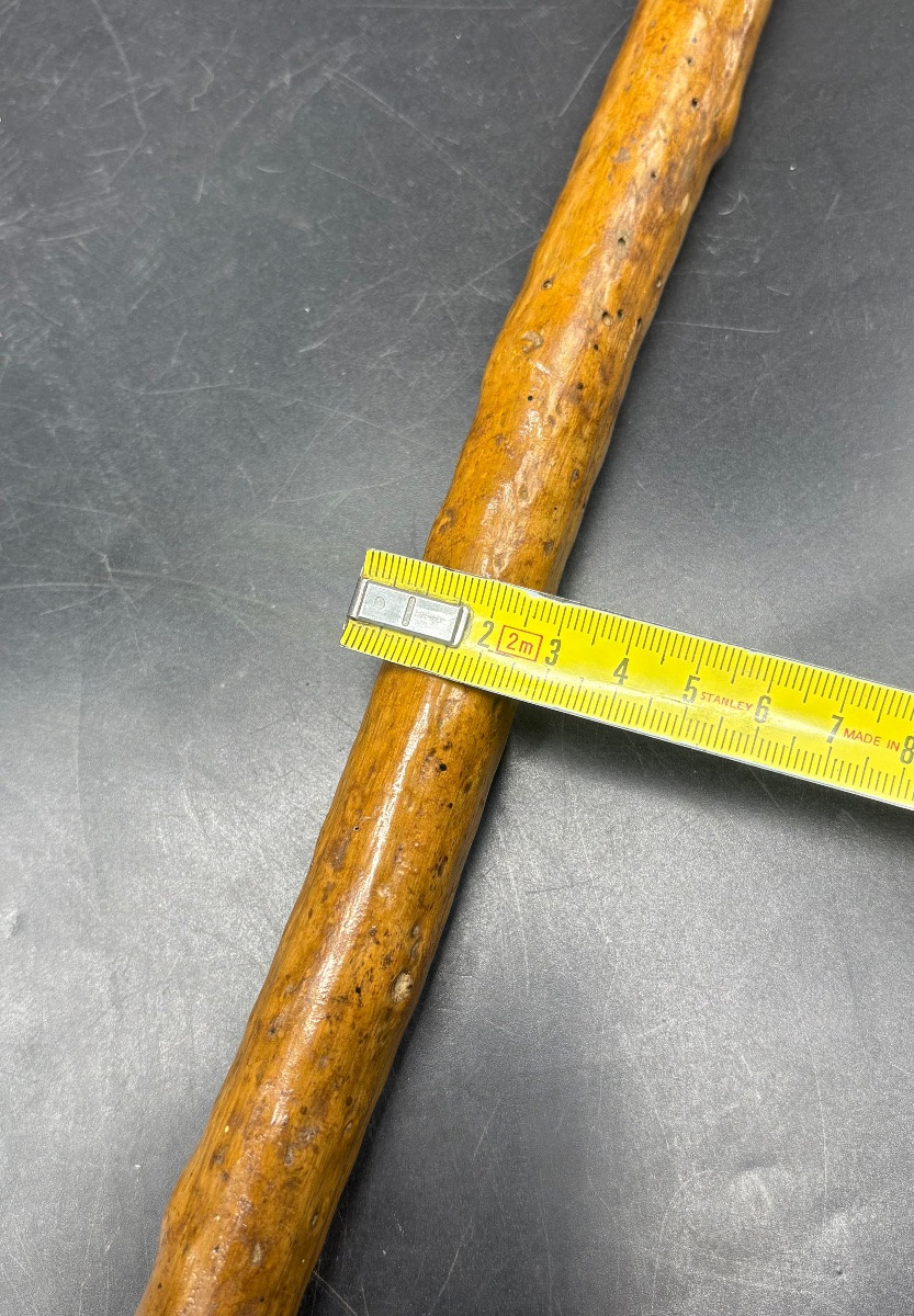 1900s Horse Dealer's Cane In Scarified Wood And Various-photo-6