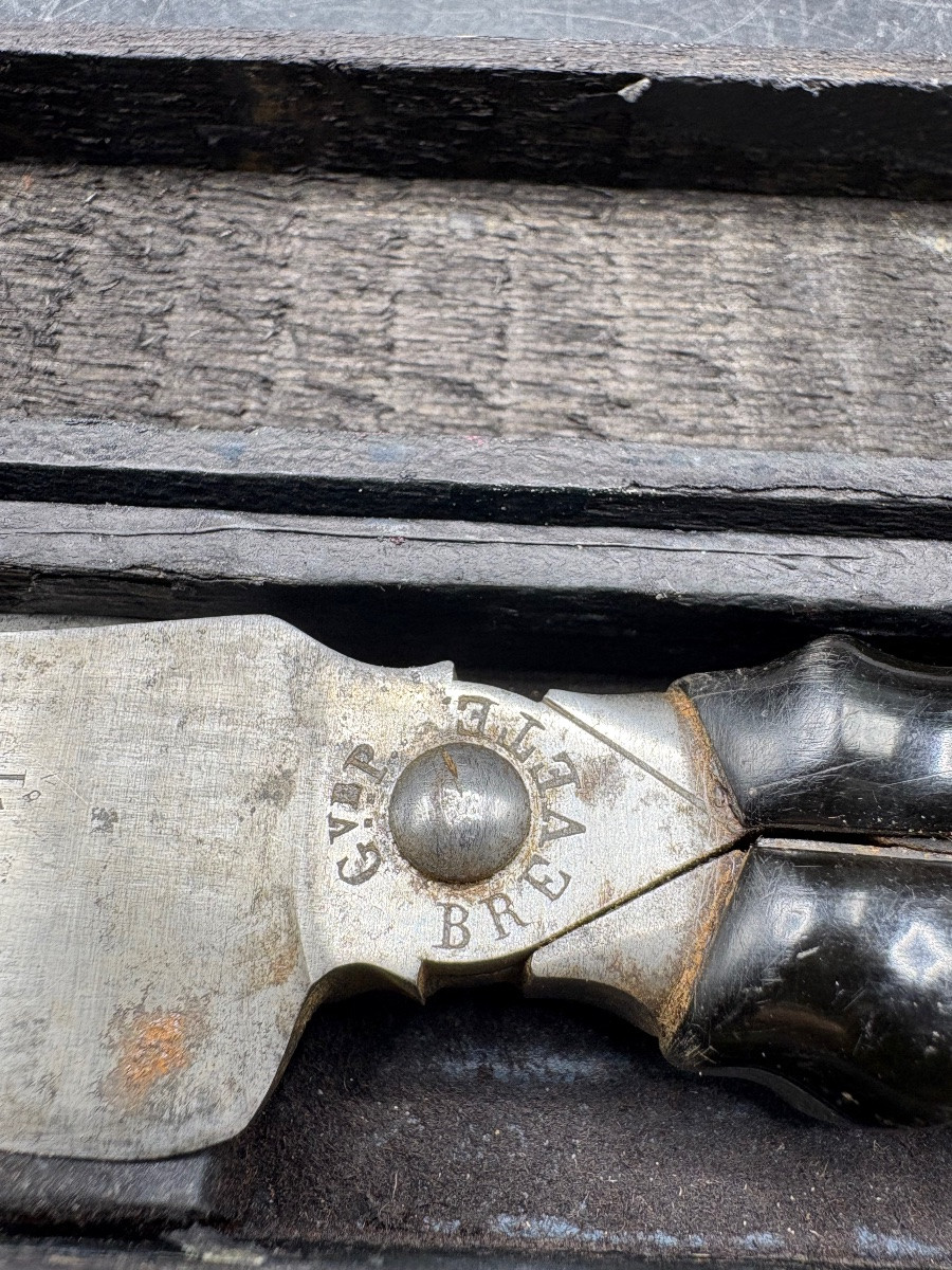 19th-century Steel And Carved Black Horn Knife And Scissors By Picault In Bordeaux -photo-5