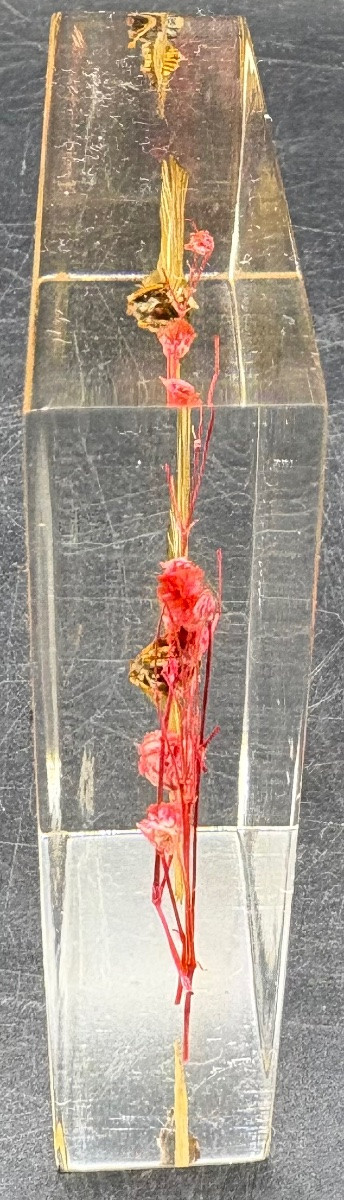 French Actuglass Paper Press From The 1960s/70s -photo-2