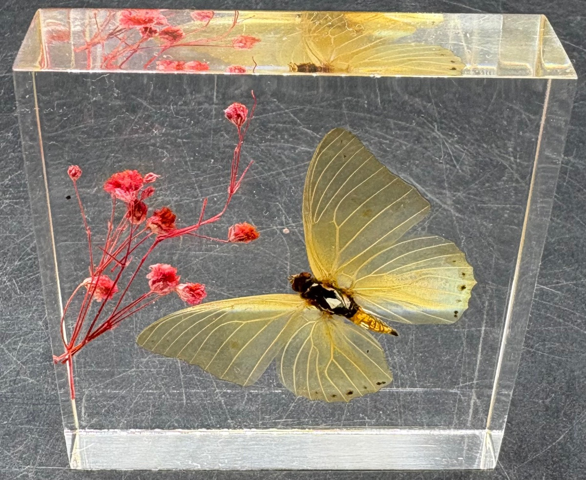 French Actuglass Paper Press From The 1960s/70s -photo-3