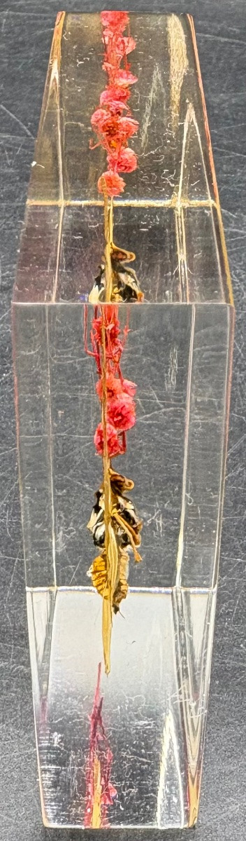 French Actuglass Paper Press From The 1960s/70s -photo-4