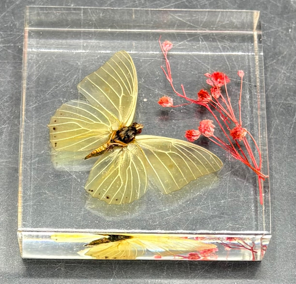 French Actuglass Paper Press From The 1960s/70s -photo-1