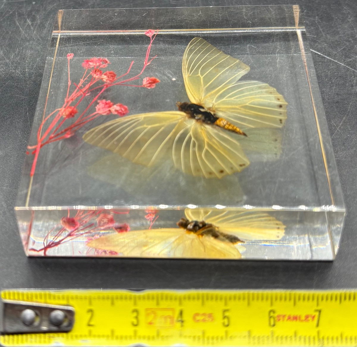 French Actuglass Paper Press From The 1960s/70s -photo-4