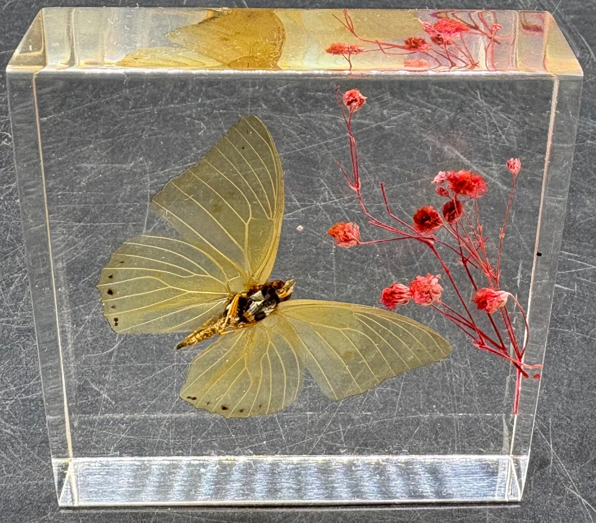 French Actuglass Paper Press From The 1960s/70s 