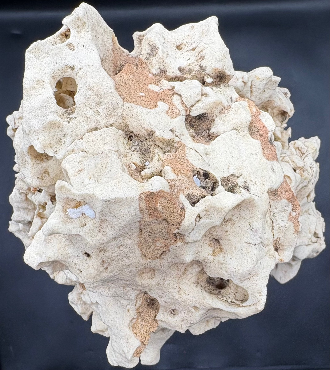 UNE PIERRE NATURELLE ET SOCLE EN BOIS SCULPTÉ LAQUÉ DES ANNÉES 1900 CHINOISE-photo-3