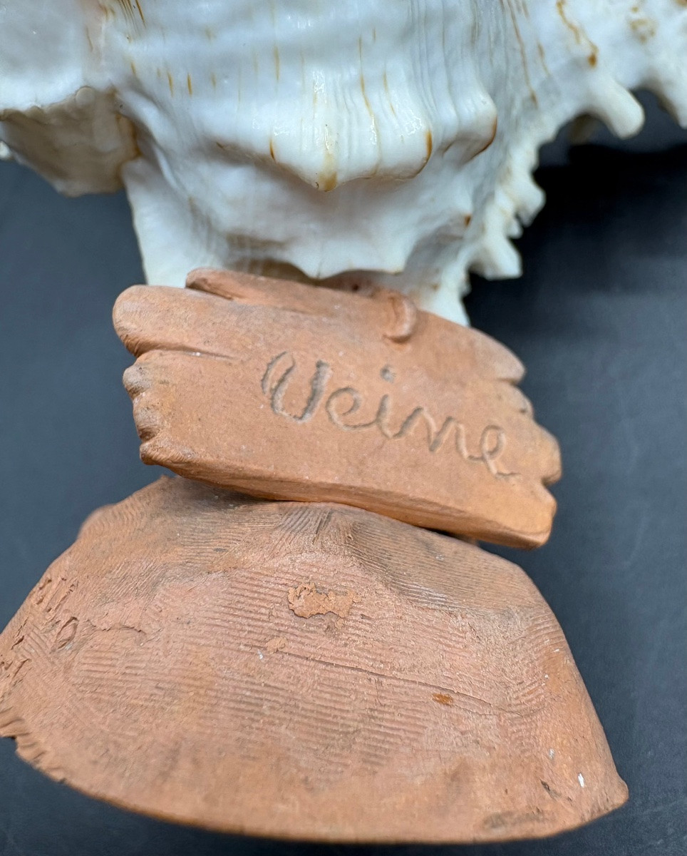 Terracotta Sculpture On A Shell, Circa 1900/20, By Collot Se-photo-2